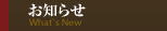 m点